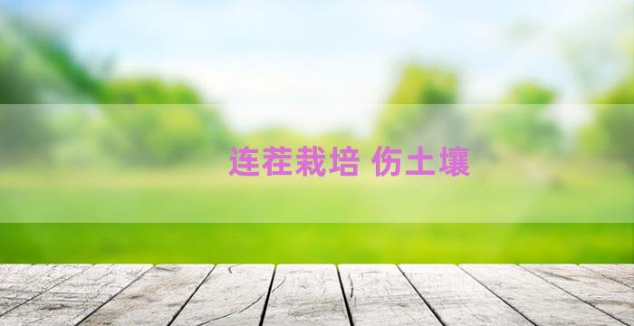 连茬栽培 伤土壤